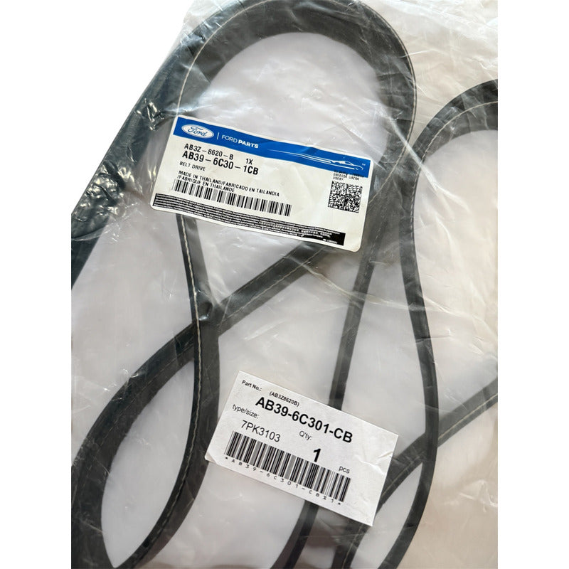 Correa Accesorio Ford Ranger/ Mazda Bt50 Motor 3.2 Original